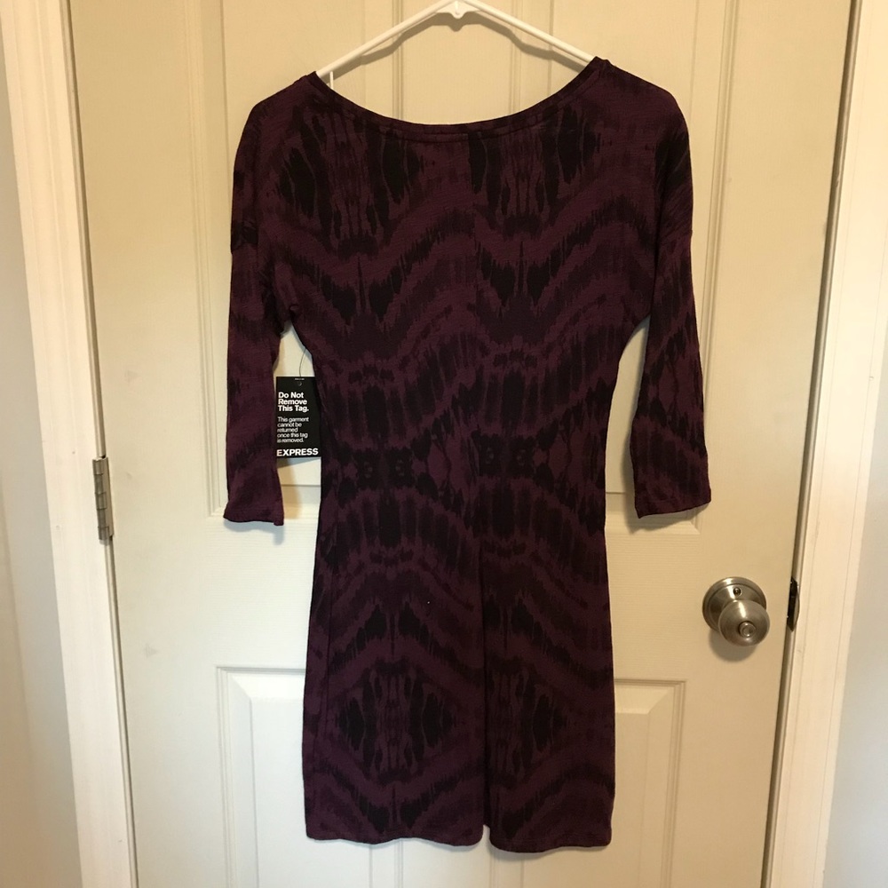 Express Dress - Picture 3 of 3